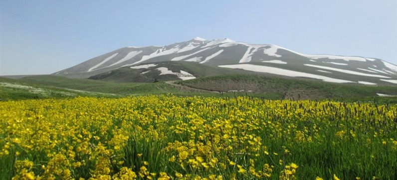 دره شاهیوردی (بستان آباد)